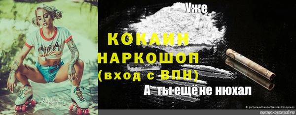 Альфа ПВП Армянск
