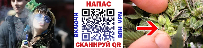 Марихуана индика  Можга 